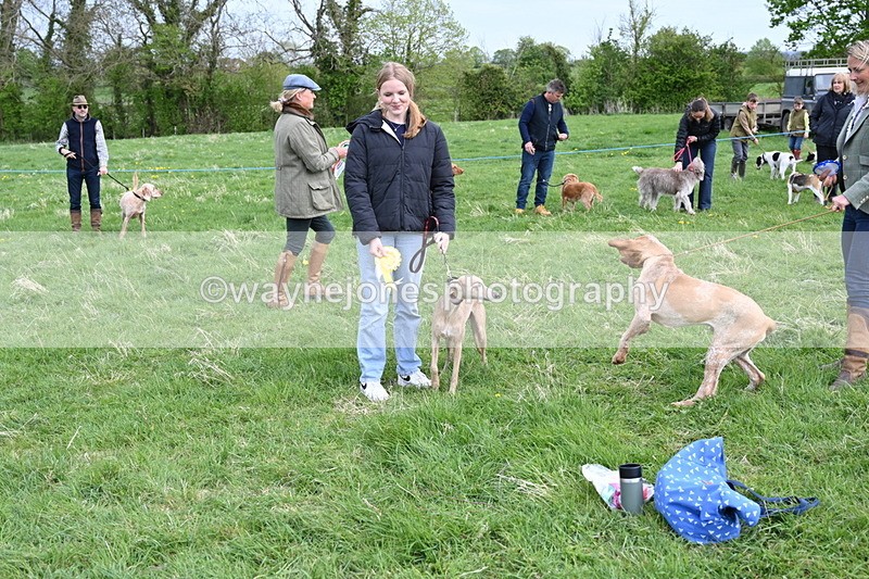 WJ6_8173 - Class 2 Best Pedigree