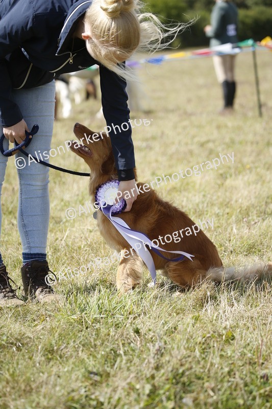 20250831-3691 - Dog Show