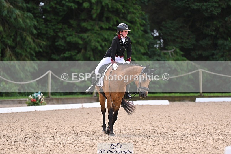 240809-104736-00393 - 173-Daisy.Winkle-Decandro.Hit.LDS