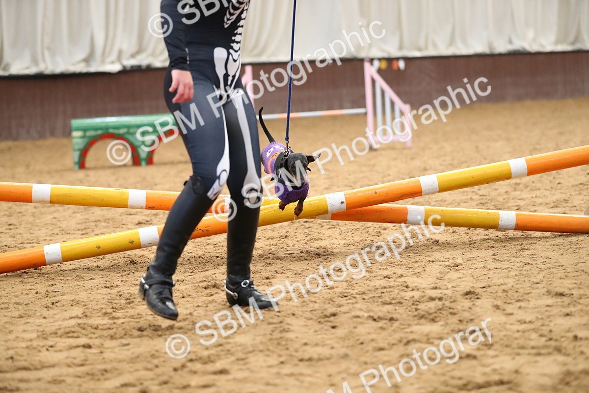 SBM_001266 - Class 3 - Horse & Hound