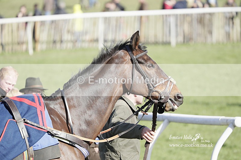 PtP 100423 987 - Old Berkshire Point-to-Point Lockinge 10/04/23