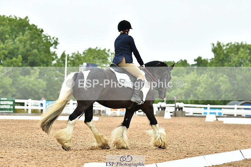 230708A-105134-02426 - Prelim 13