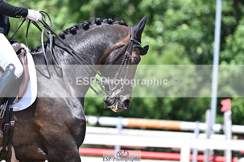 240621A-133719-03398 - Cls 15 BD Music Adv Medium