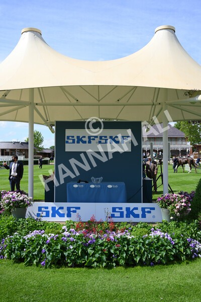 yr11062021r3-60 - Race 3 2.55pm SKF Rous Selling Stakes