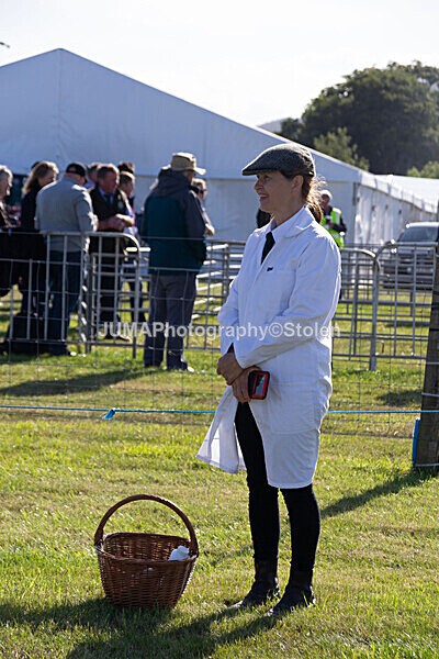 DSC_0031 - Ring 1