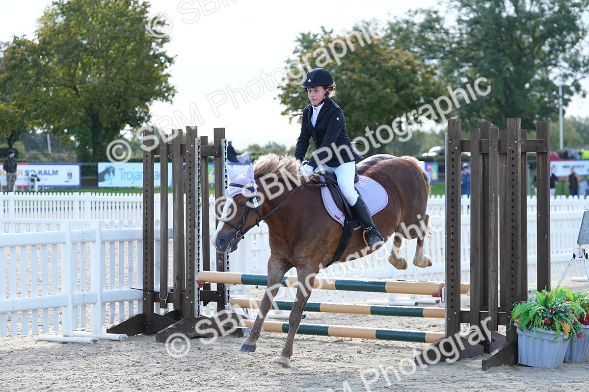 SBM_38260 - J6 - Junior Pony 55cm Championship