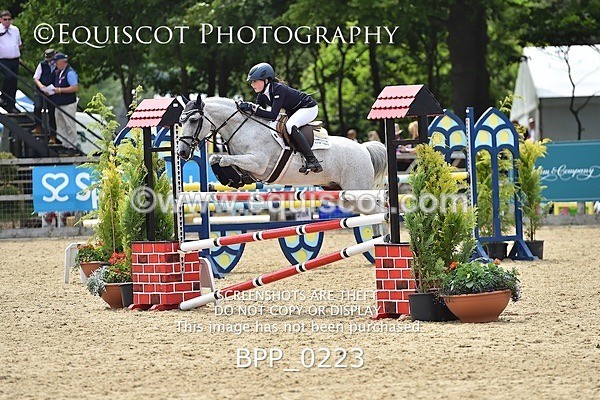 BPP_0223 - RHS 2019 Selection - *Just some random spectator shots so Lucky Dip if you are there!