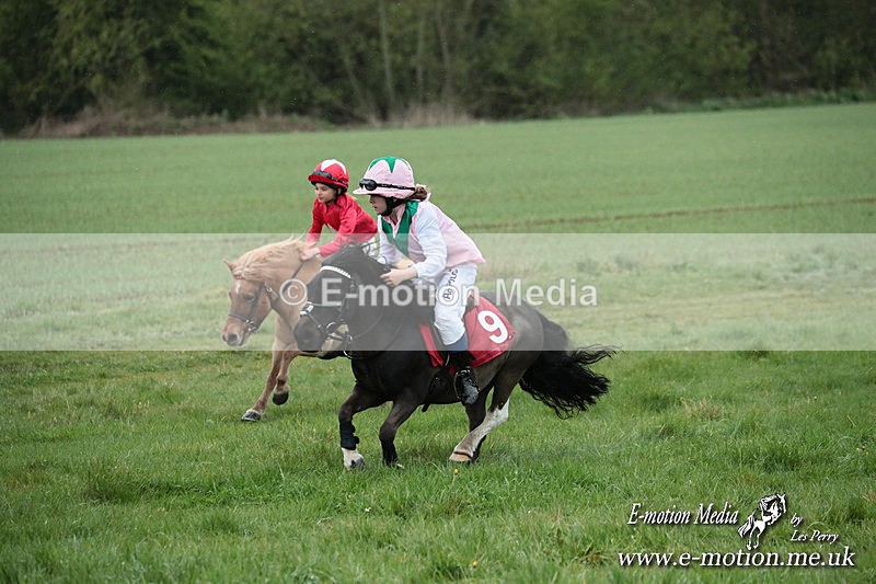SHETPR 210425 197 - Shetland Ponies Paxford Races 21/04/25