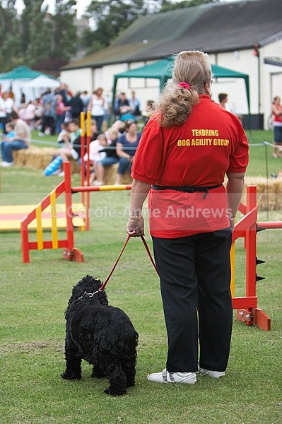 - Tendring Agility Group- St Osyth Summer Fete