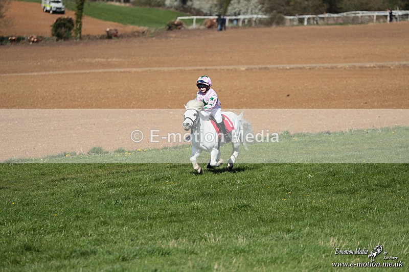 Shet 060426 139 - Shetland Pony Racing Paxford Races Easter Mon 06/04/26