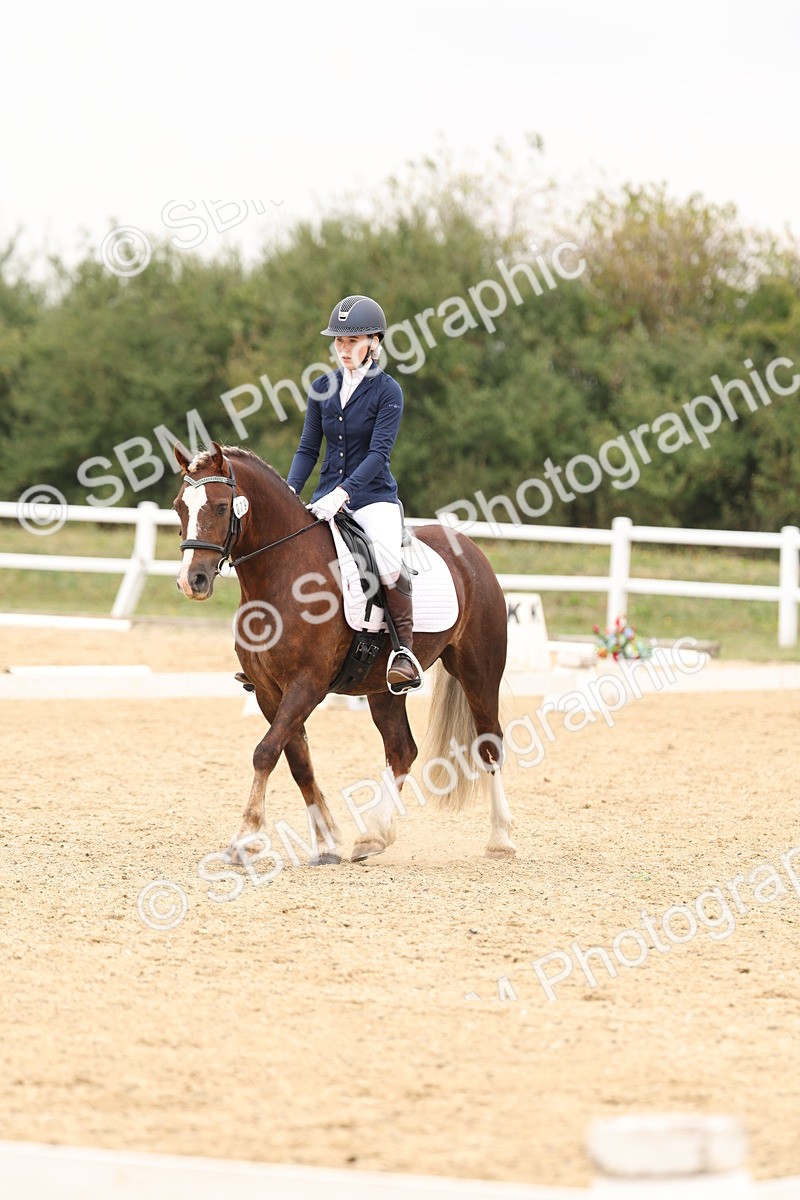 SBM_01030 - Class 8 - Novice 27 Champs