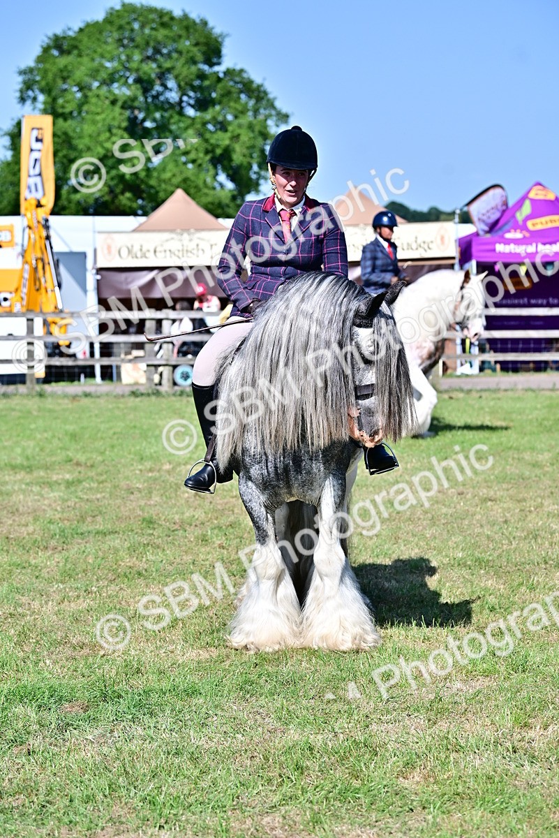 SBM_19452 - Class 101-102 - BSPS LIHS Performance Coloured Horse/Pony