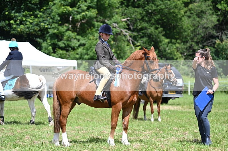 WJ7_1787 - Class 9 Pony Club Pony