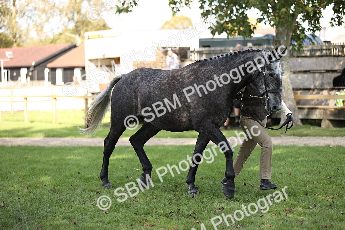 SBM_26273 - S5 - Novice & Newcomers In Hand