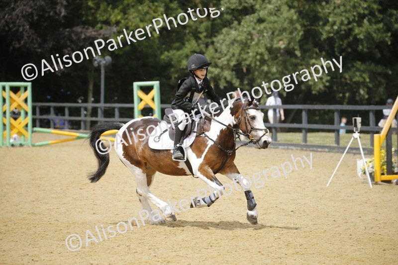 20250622-4130 - 50cm