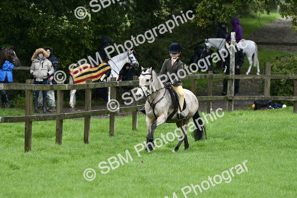 SBM_35540 - S30 - Nursery Stakes Working Hunter Pony