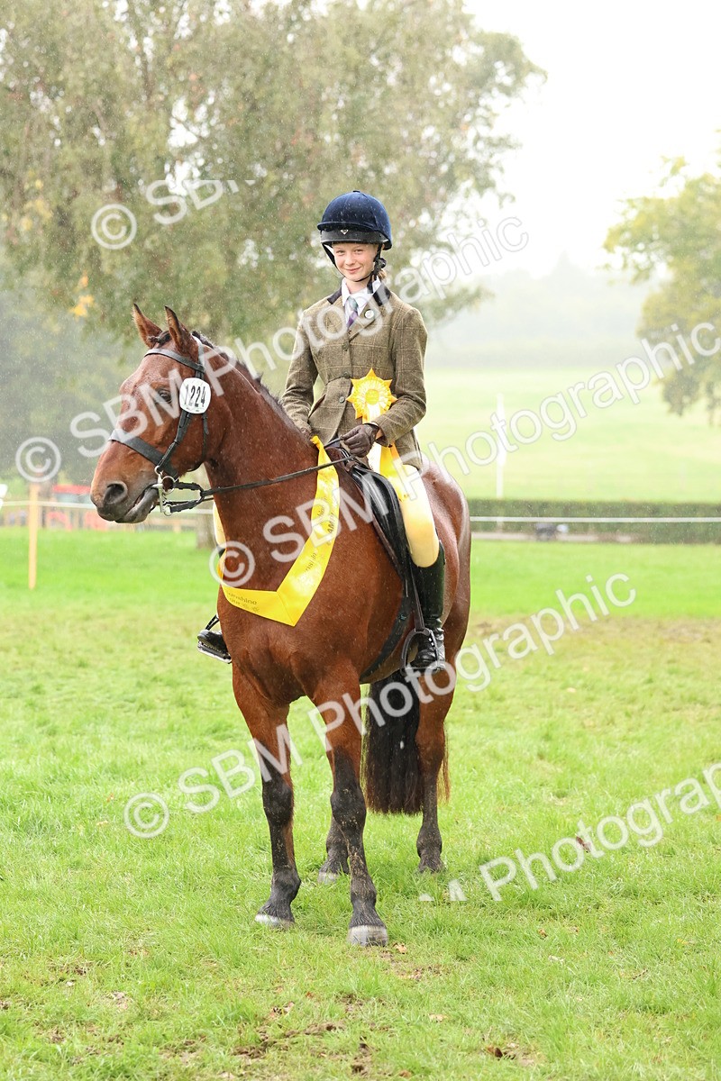 SBM_73082 - S63 Show Pony & Show Hunter Pony Ridden
