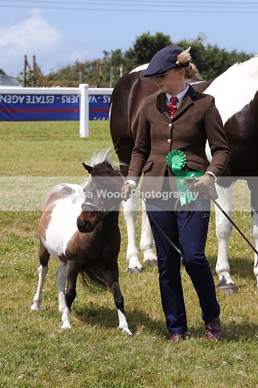 1X9A4873 - Class 35: Veteran In Hand