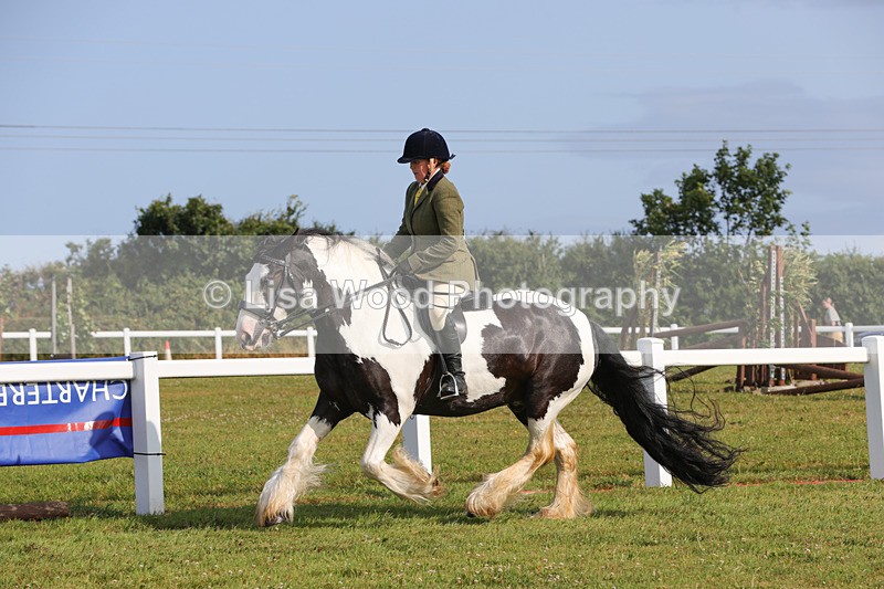 1X9A3287 - Class 28: Ridden Native/Trad Coloured Pony