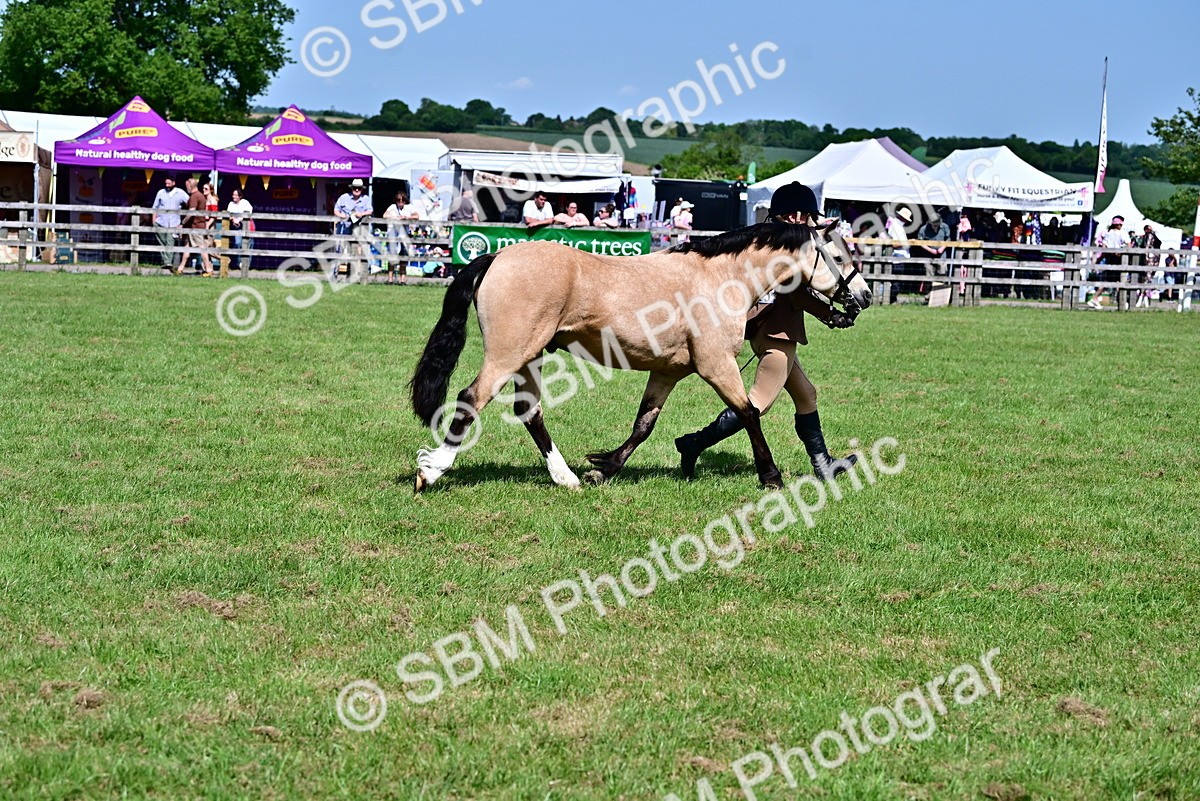 SBM_08066 - Class 61-62 - TSR  M&M Ridden Amateur of the Year