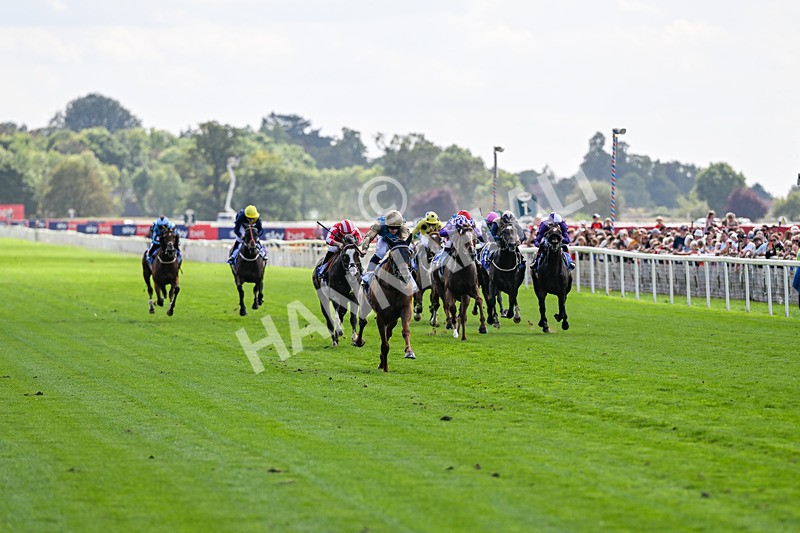 220826-Race 1-Archivist-9201 - Race 1 13.50pm Sky Bet Strensall Stakes