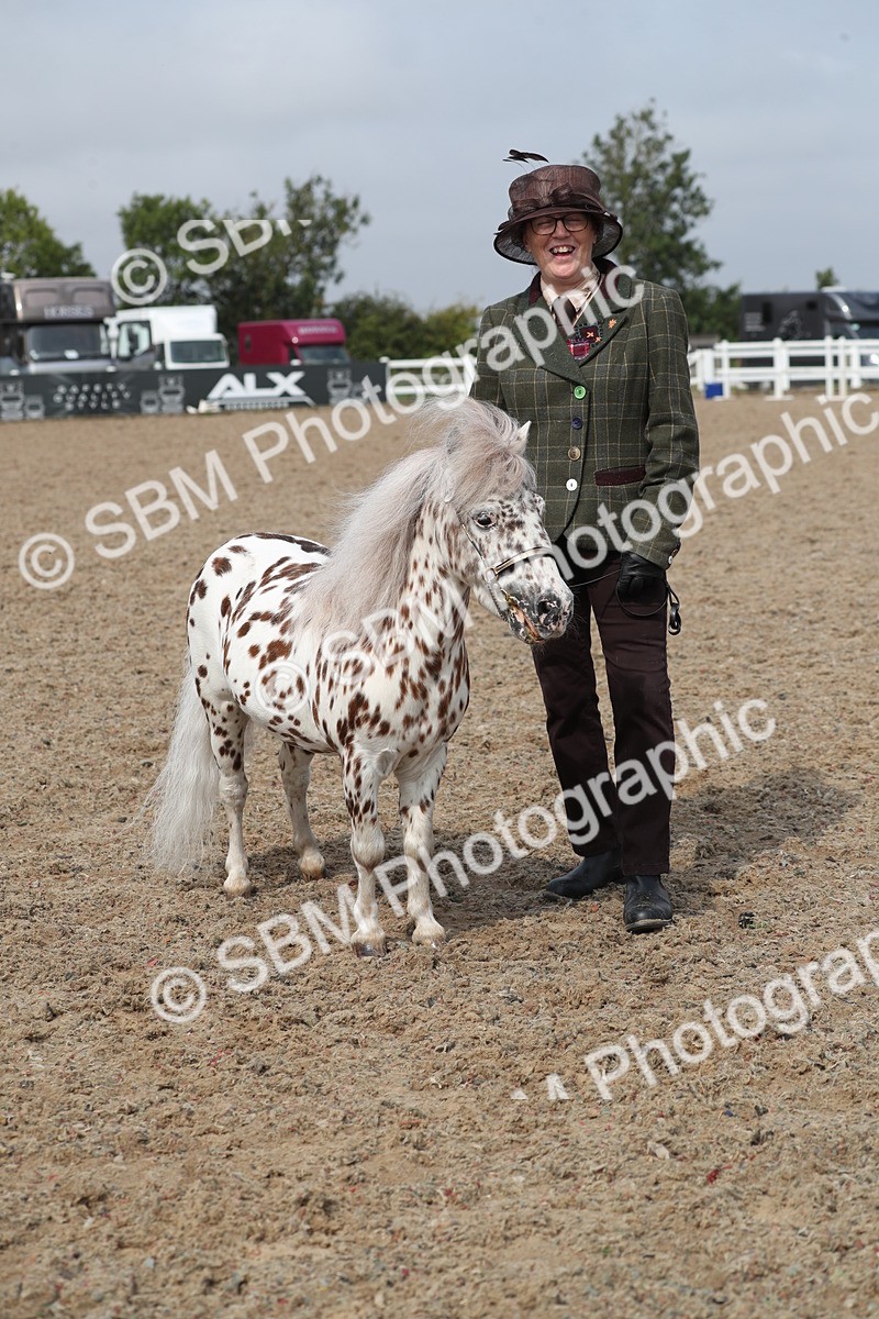 SBM_23198 - Class 605 - 2025 Area - IH Veteran
