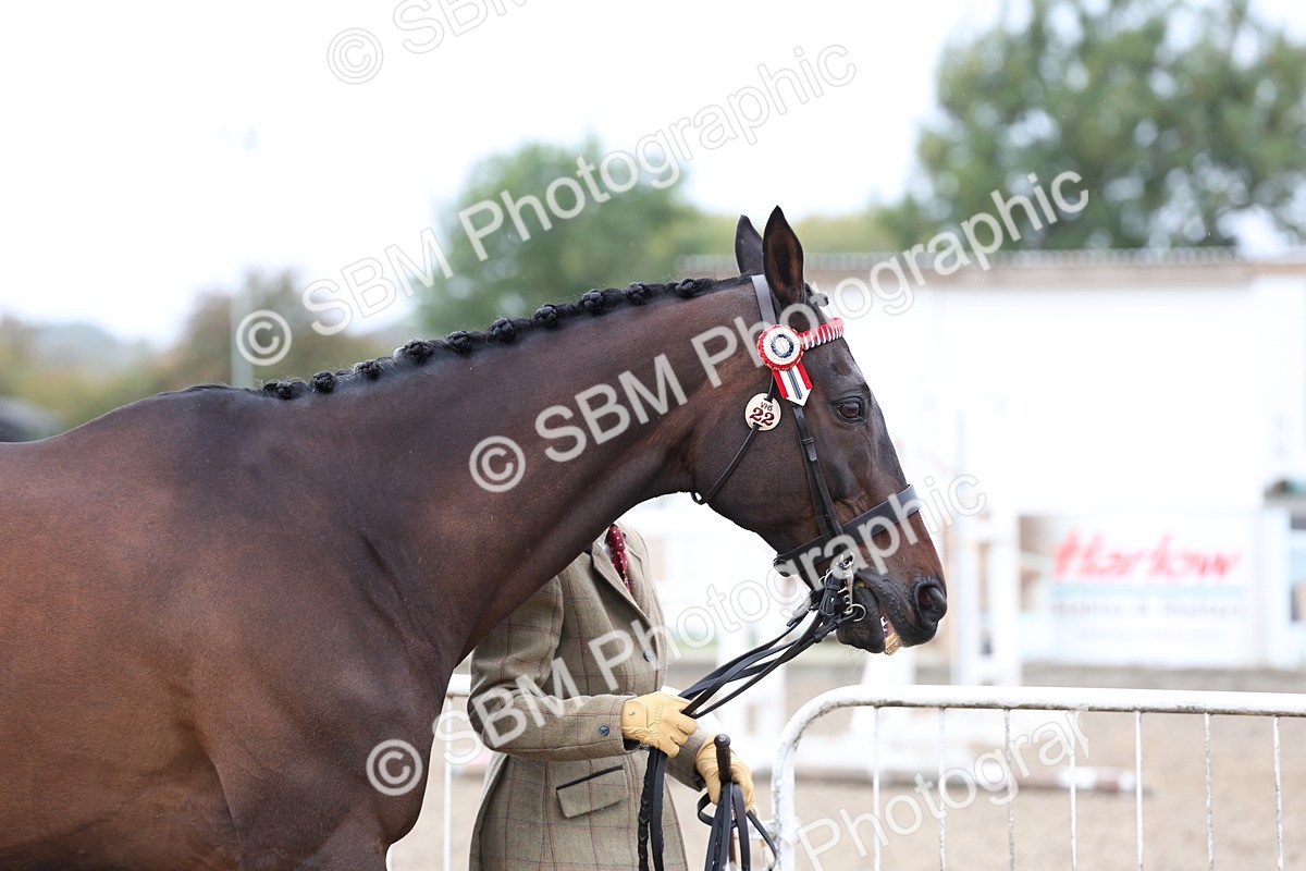 SBM_00016 - Class 50 - Best Turned Out IH