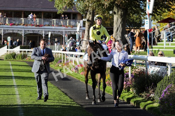 yr08102022r6-49 - Race 6 4.25pm The Watch Racing Online Free With Coral Handicap Stakes