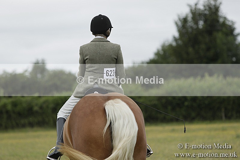 BVR160717-663 - Class 1 & 23a Dressage 16/07/17