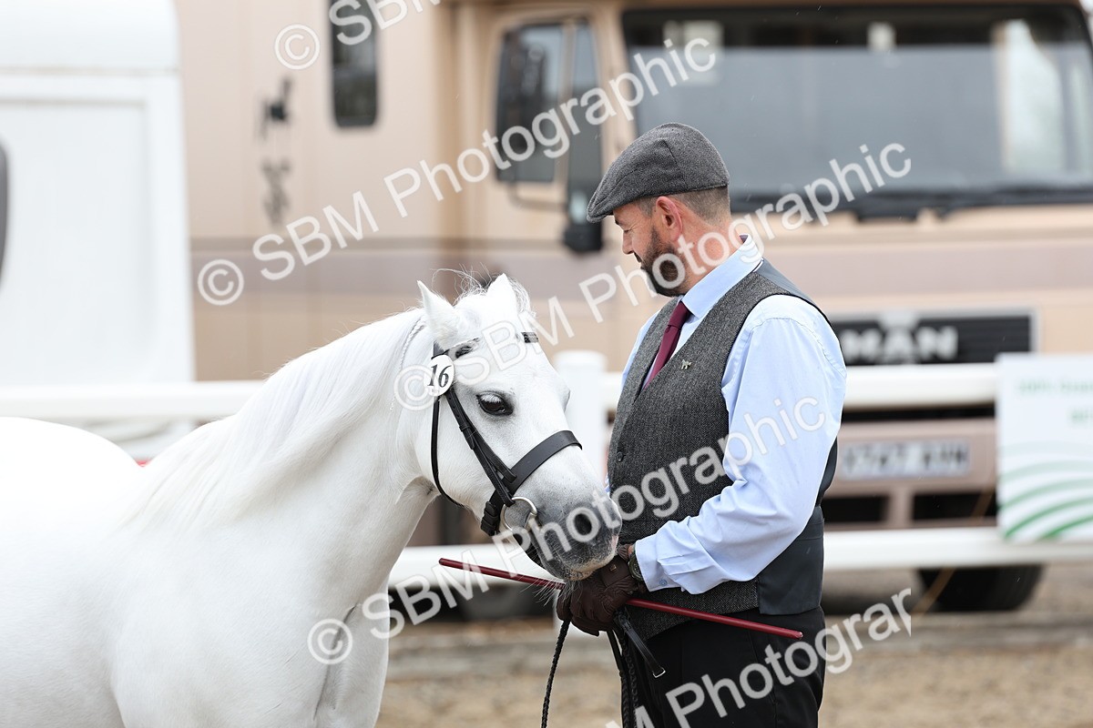 SBM_00077 - Class 50 - Best Turned Out IH