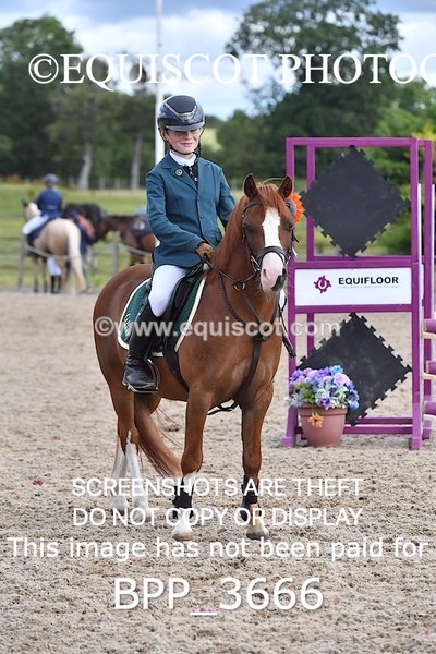 BPP_3666 - CLASS 4 SAT Pony British Novice / 0.80m Open