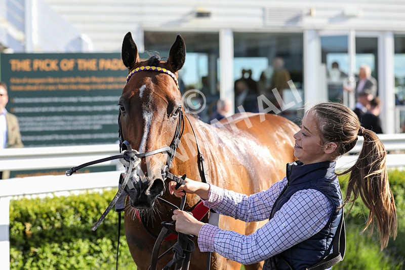 080624-Race 8-Resilience-5221 - Race 8