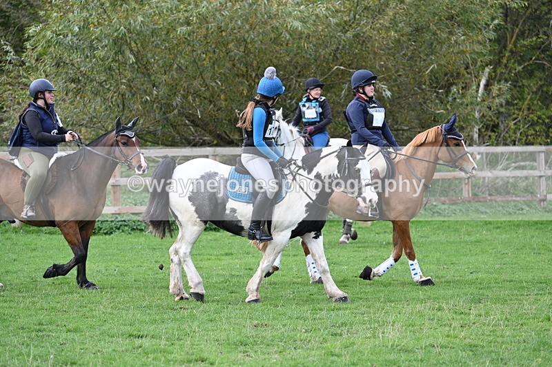 WJ7_9579 - Time 13:13 to 13:55