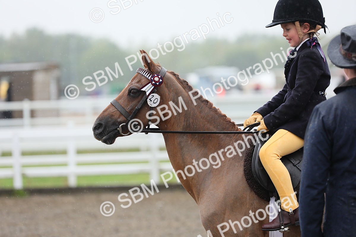 SBM_20584 - Class 804 - Ridden Veteran Pony
