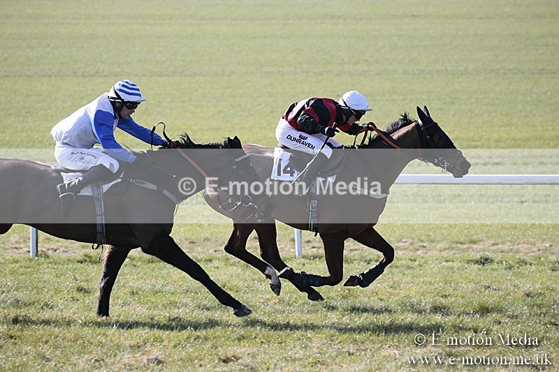 PtP 240218 69 - Vine & Craven Hunt Point-to-Point Barbury racecourse 24/02/18