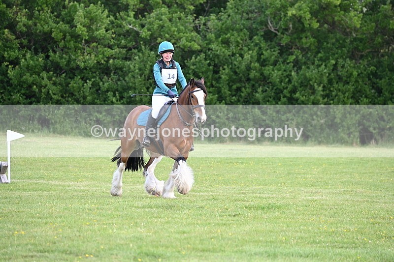 WJ6_2622 - Class 2 40cm