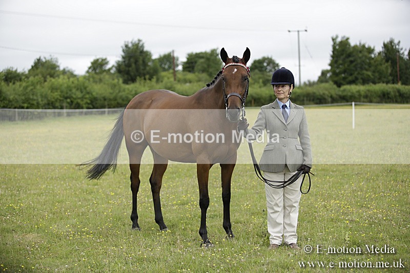 BVR160717-846 - Ring 2 BVRC Show 16/07/17