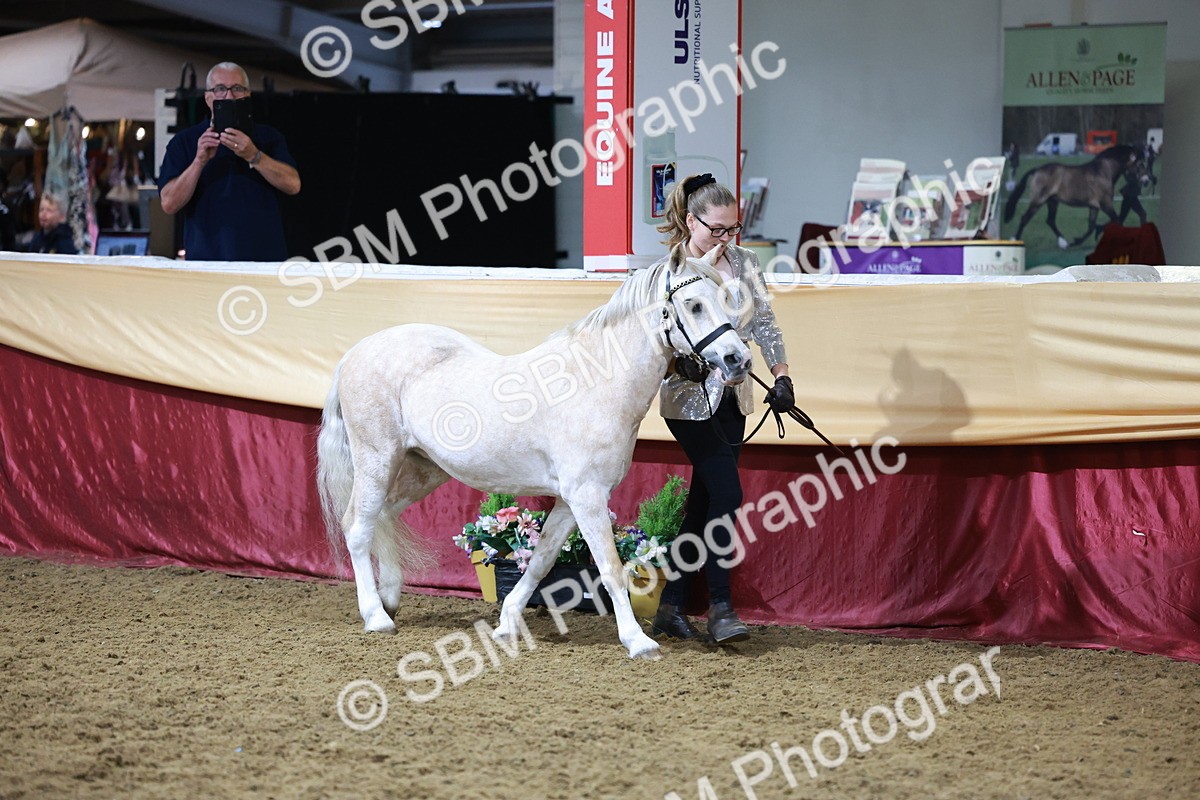 SBM_20411 - Class F - IH Small (148cm & Under)Champ