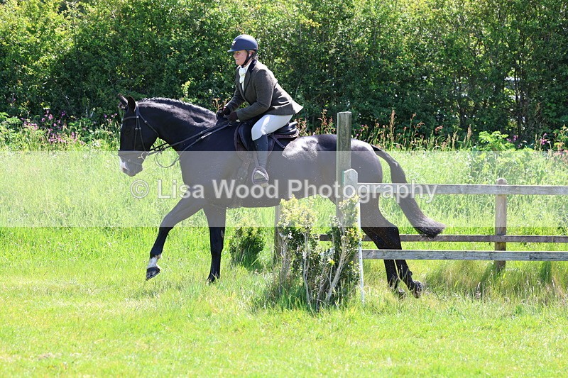 3E7A7009 - Class 30: Novice Working Hunter