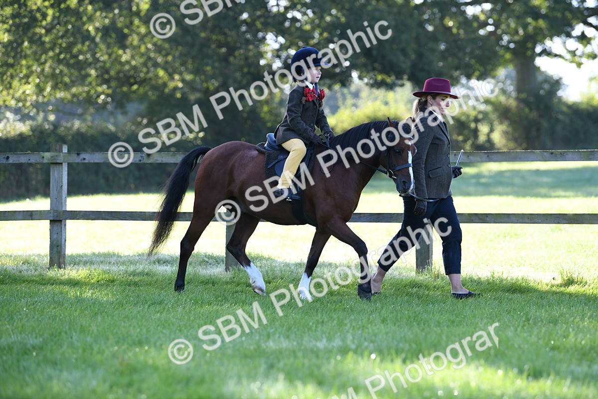 SBM_35340 - S17 - Condition & Turnout - Lead Rein