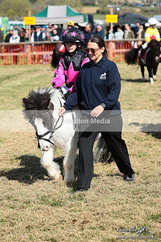 Shet 060426 103 - Shetland Pony Racing Paxford Races Easter Mon 06/04/26