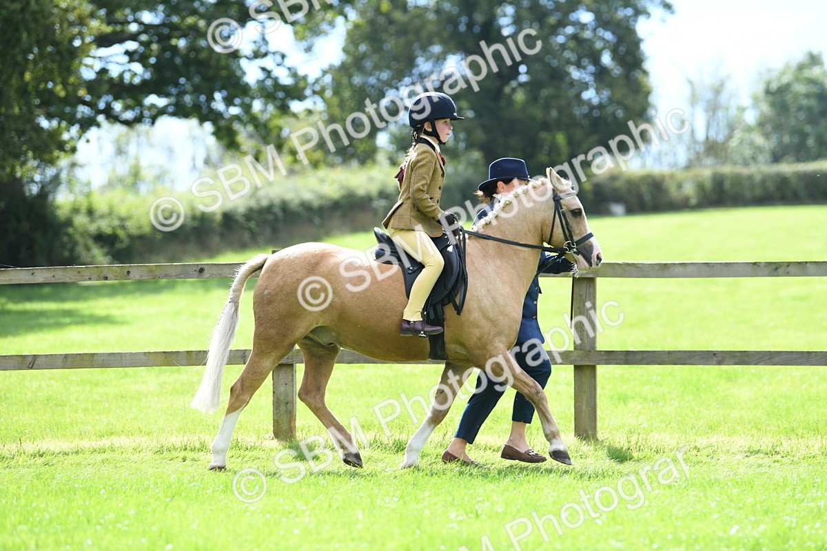 SBM_41197 - S19 - Lead Rein Show & Show Hunter Pony