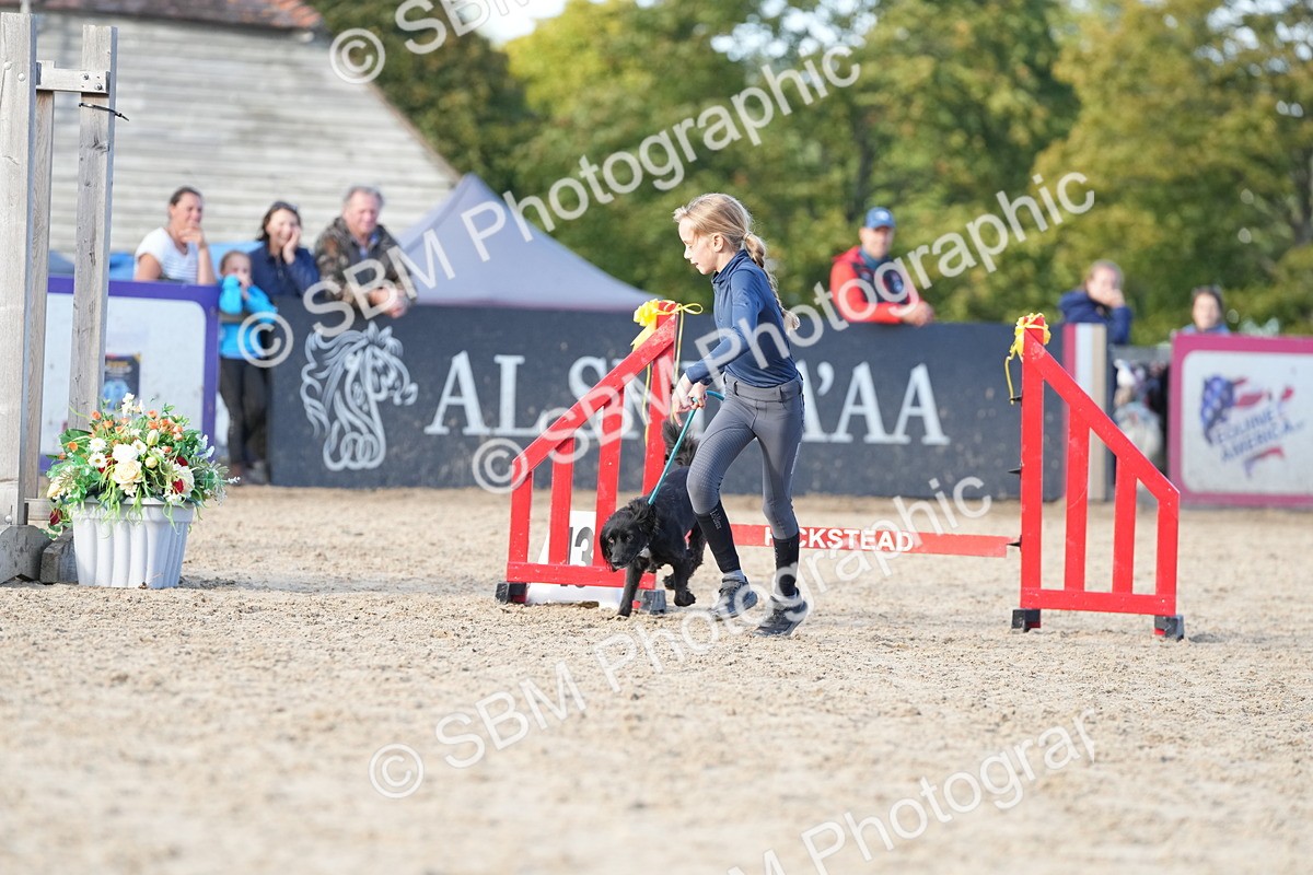 SBM_29129 - J43 - Horse & Hound Open 50cm