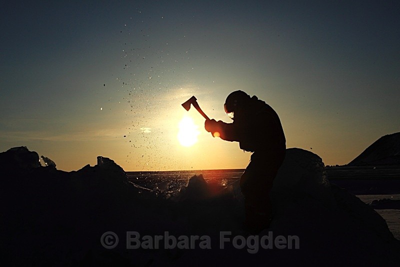 Ice cutting 0310 - Winter in the daylight
