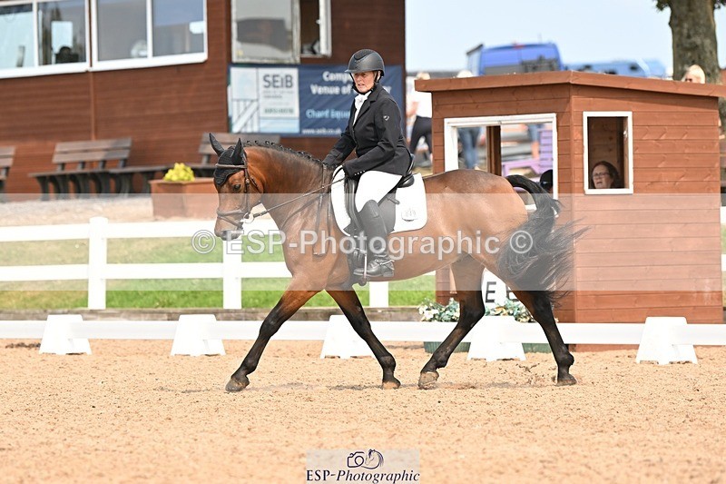 250816-141734-05065 - 049-Carolyn.GaleNewtown.Ringo