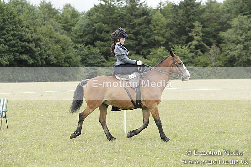 BVR160717-2421 - Side Saddle Classes 16/07/17