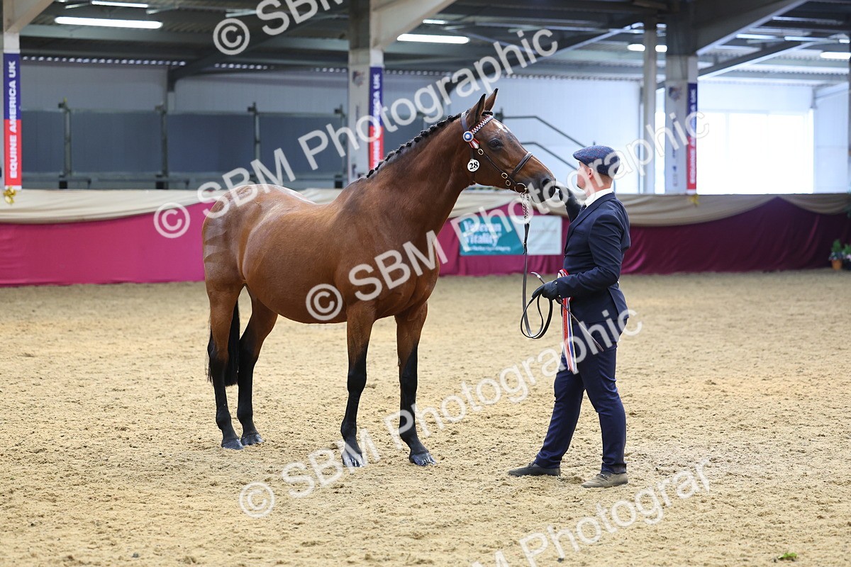 SBM_23241 - Supreme Final - IH Champion