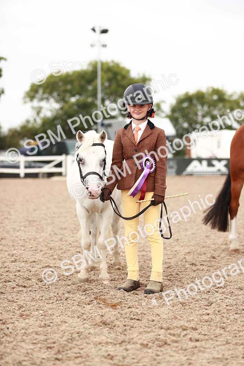 SBM_11933 - Class 206 IH Non Show Type Pony