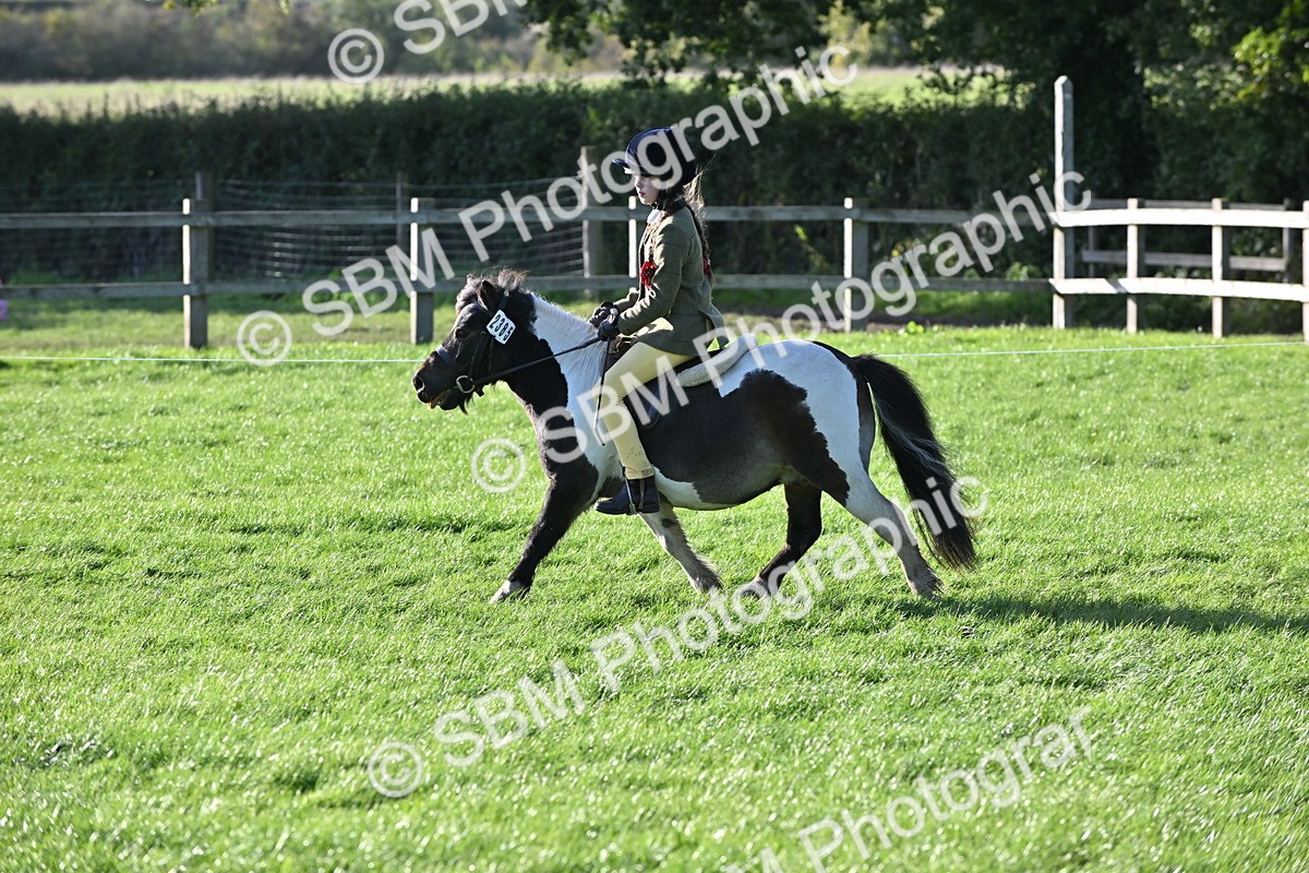 SBM_53053 - S23 - First Ridden Mountain & Moorland Pony