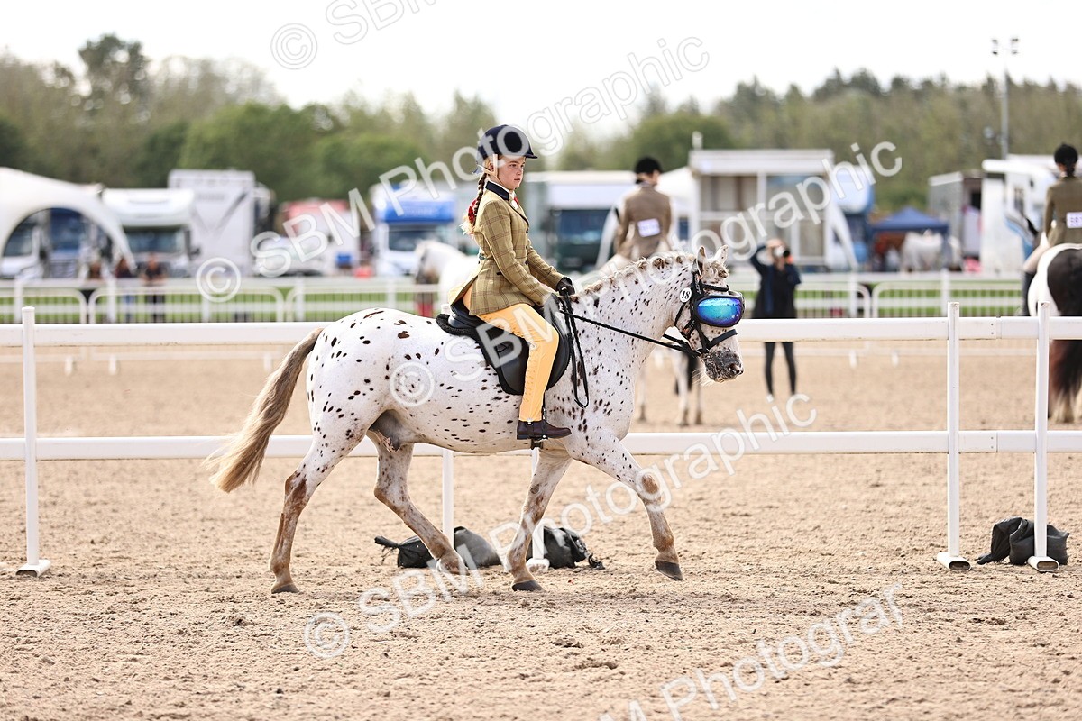 SBM_12838 - Class 409 - Grassroots Ridden - Pony